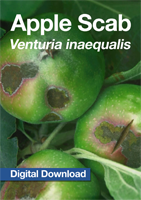 Apple Scab DIGITAL DOWNLOAD